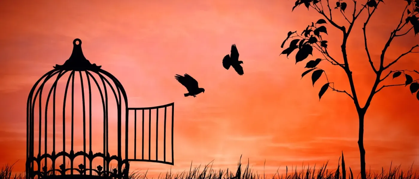libertad