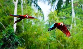 biodiversidad